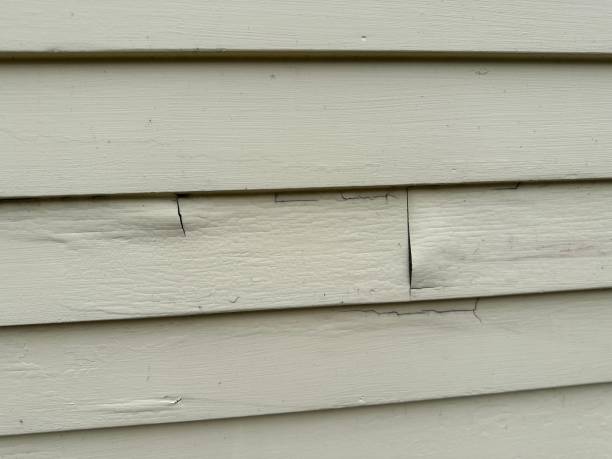 Best Steel Siding Installation  in Byron Center, MI