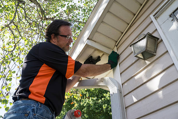 Affordable siding repair and maintenance services in Byron Center, MI